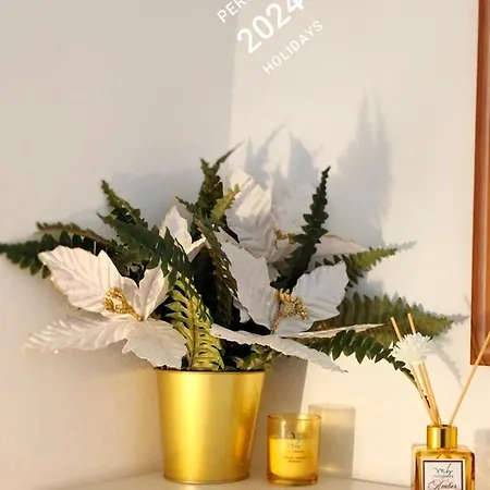 Calin Apartment