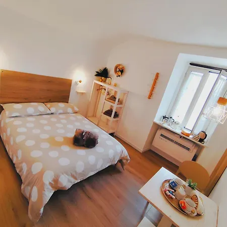 Calin Apartment *
