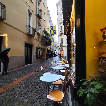 Calin Διαμέρισμα