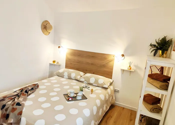 Calin Apartament Turyn